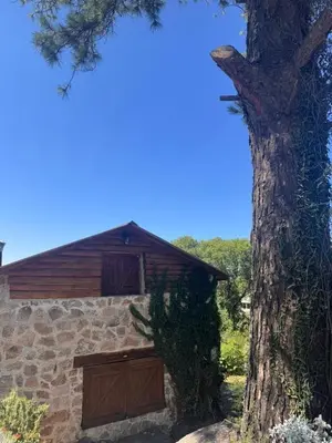 a building with wooden doors next to a tree at Stone Cabin, PETRA HAUS in Cuesta Blanca
