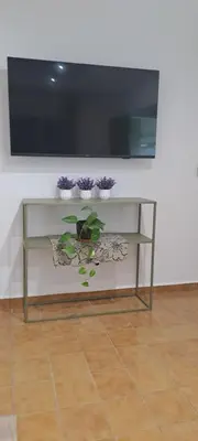a shelf with two plants and a flat screen tv at Mozzafiato in Cordoba