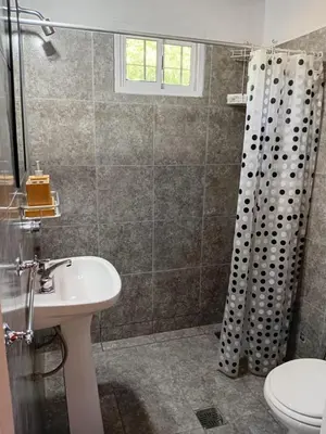 a bathroom with a sink and a shower curtain at Angel Alpino Cabin in Cuesta Blanca