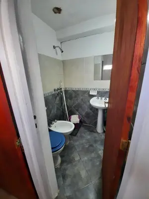 a bathroom with a toilet and a sink at Marisa depto temporario in Villa Carlos Paz
