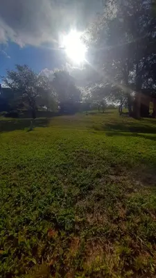 a grassy field with the sun in the background at Cabañas Piscu Yaco in Santa Rosa de Calamuchita