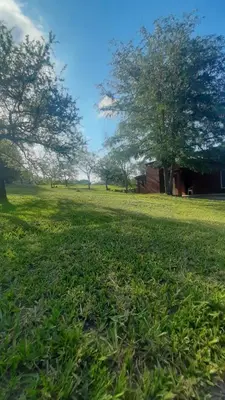 a field of green grass with a tree and a barn at Cabañas Piscu Yaco in Santa Rosa de Calamuchita