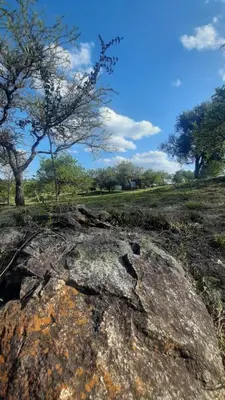 a large rock in a field with a tree at Cabañas Piscu Yaco in Santa Rosa de Calamuchita