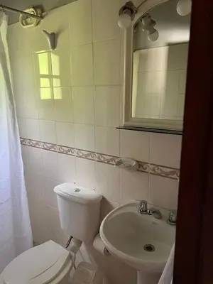 a bathroom with a toilet and a sink at Siempre verde in El Rincón