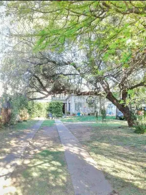 a tree over a path in front of a house at Casa de Ceci in Villa Carlos Paz