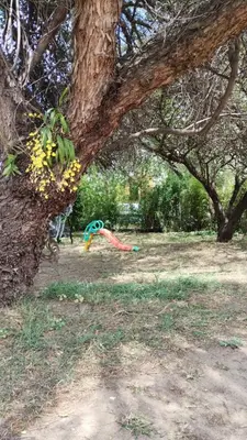 a colorful kite in the grass next to a tree at Casa de Ceci in Villa Carlos Paz