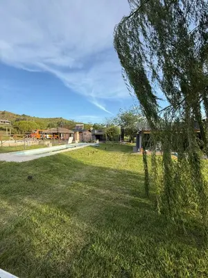 a grassy field with a tree in the foreground at Cabañas Marquetti in Potrero de Garay