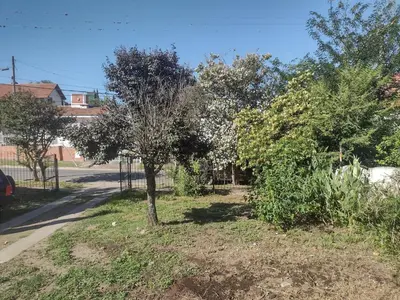 a tree on the side of a street at Refugio Serrano Carlos Paz parque y pileta privada in Villa Carlos Paz