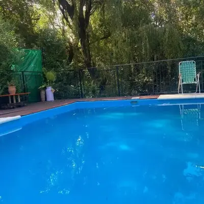 Siempre verde1