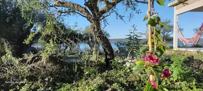 a garden with a tree and a bridge in the background at Cabañas Refugio del Alma in Villa Amancay