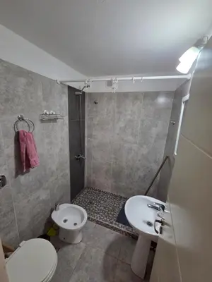 a bathroom with a toilet and a sink at Depto Completo 1 Hab Gral Paz in Cordoba