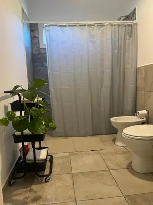 a bathroom with a shower and a toilet and a plant at Altos de la Quebrada in Quebrada de los Pozos