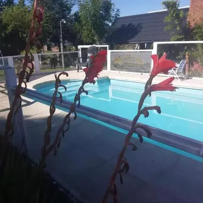 a swimming pool with red birds on a metal fence at Cabañas atardecer soñado in Villa Yacanto