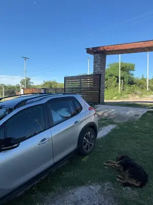 a dog laying on the grass next to a car at Hermosa Casa en Mirador del Lago - Bialet Masse in Bialet Massé