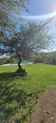 a tree sitting in the middle of a grass field at El Mirador de la Finca in Cavalango