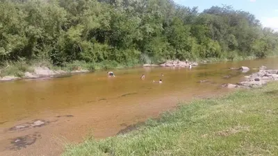 a group of people swimming in a river at El Campito in San Antonio de Arredondo