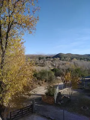 a view of a park with a bench and trees at La tranquera ll in Trapiche