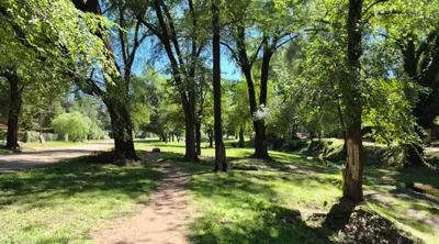 a path in a park with trees and grass at Departamento tranquilo cerca de la terminal Villa General Belgrano a 5 cuadras del centro in Villa General Belgrano