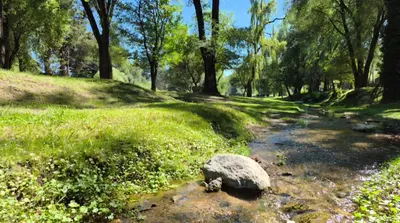 a rock sitting on a path in a park at Departamento tranquilo cerca de la terminal Villa General Belgrano a 5 cuadras del centro in Villa General Belgrano
