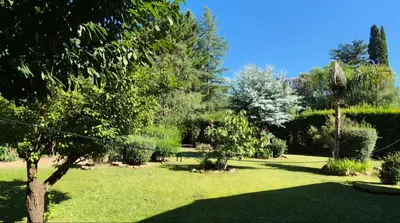 a park with green grass and trees and bushes at Departamento tranquilo cerca de la terminal Villa General Belgrano a 5 cuadras del centro in Villa General Belgrano