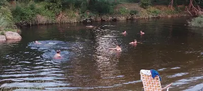 a group of people swimming in a river at Los árboles in Cordoba