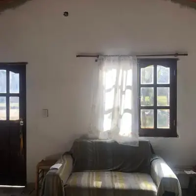Los árboles