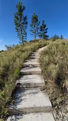 a stone path up a hill with trees on it at Aire in La Estancia