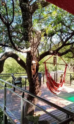 a hammock hanging from a tree with a face at Casa Nacha in Cuesta Blanca