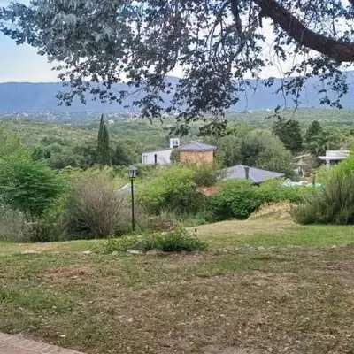 naulitus
