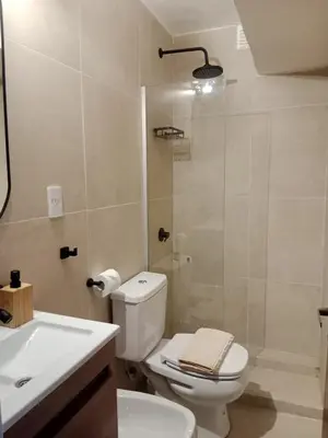a bathroom with a toilet and a sink and a shower at Encantador departamento en Nueva Córdoba in La Porteña