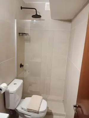 a bathroom with a toilet and a shower at Encantador departamento en Nueva Córdoba in La Porteña