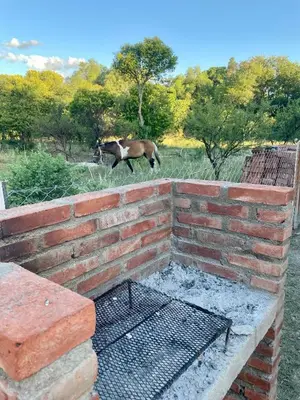 a horse walking on top of a brick wall at Las Mariposas in Merlo