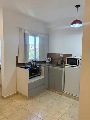 a kitchen with a stove and a microwave at Amelia 2-4 in Villa Carlos Paz