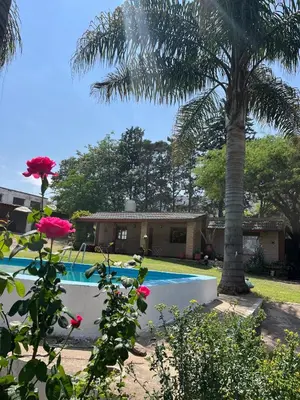a house with a palm tree and a swimming pool at Cabaña Garcia in Santa María