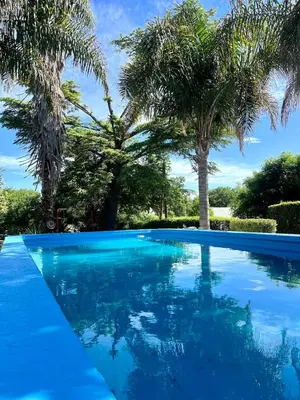 a swimming pool with palm trees in the background at Cabaña Garcia in Santa María