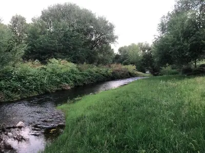 a river with grass and trees in a field at Los árboles in Potrero de Garay