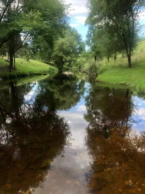 a river with a reflection of trees in the water at Los árboles in Potrero de Garay