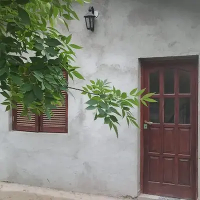 Los árboles