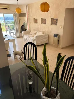 a living room with a table with a potted plant at Depto Vista panoramica in Villa Carlos Paz