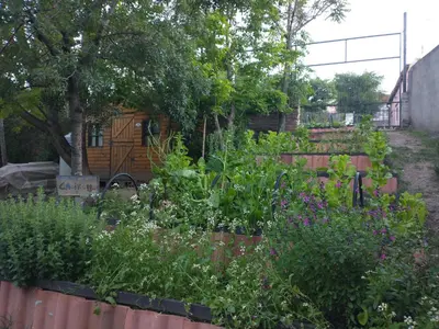a garden with flowers and plants in a yard at Descanso en Tanti - Turismo y Bienestar in Tanti