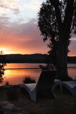 a bench sitting under a tree next to a lake at Complejo Palo Blanco in Villa Carlos Paz