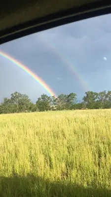 a rainbow in the middle of a field of grass at Villa Pepita in Villa Quillinzo