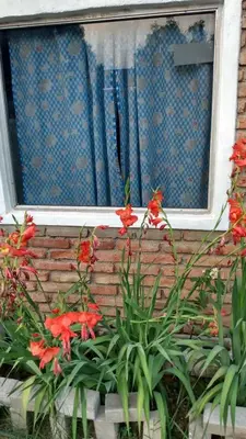 a window with red flowers in front of a house at depto santa maria in Santa María
