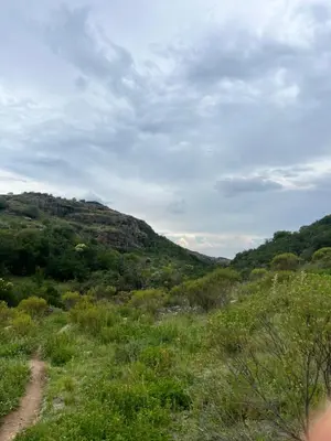 a dirt road through a grassy hill with trees at Goodkarma in Tanti