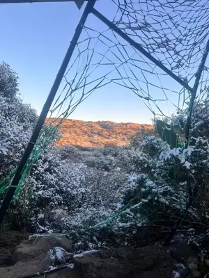 a view from the inside of a net at Goodkarma in Tanti