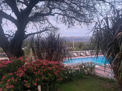 a swimming pool with a tree and some flowers at Lo de coco in Villa Cura Brochero