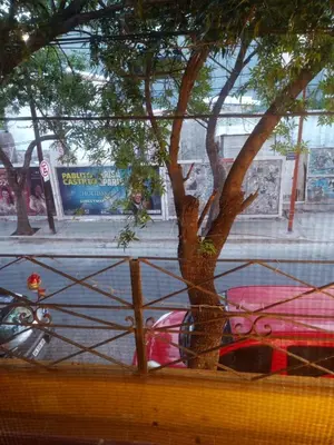 a tree in front of a window at Departamento Temporario y Complejo Habitacional in Villa Carlos Paz