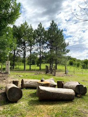 a group of logs and a table in a field at Cabaña La Querencia in Piedras Blancas