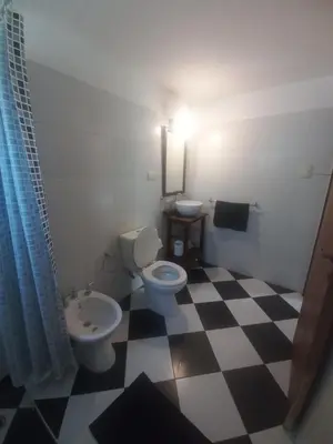 a bathroom with a toilet and a sink at Tantanakuy 4 in Villa General Belgrano