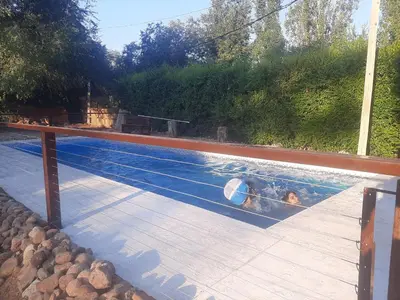 a dog swimming in a swimming pool at Colores de Traslasierra in Mina Clavero